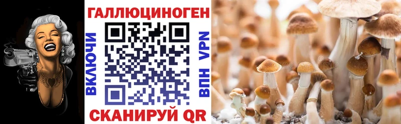 цены наркотик  Сольвычегодск  Псилоцибиновые грибы Psilocybine cubensis 